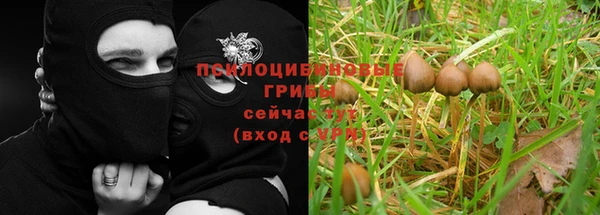 кокаин колумбия Верея