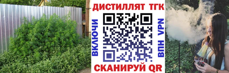 Дистиллят ТГК концентрат  Купить где  Мамоново 