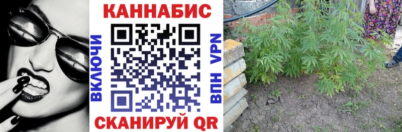 Купить  Мамоново  Каннабис VHQ 